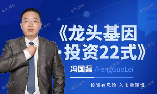 冯国磊2025《龙头基因·投资22式》